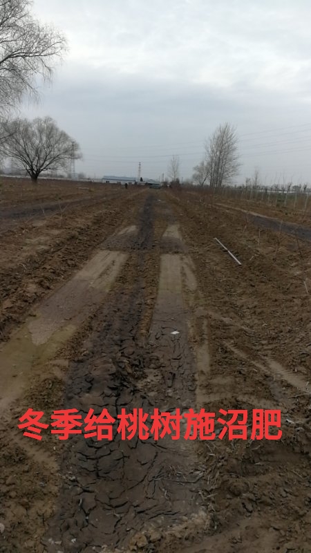 微信图片_20200302185124.jpg