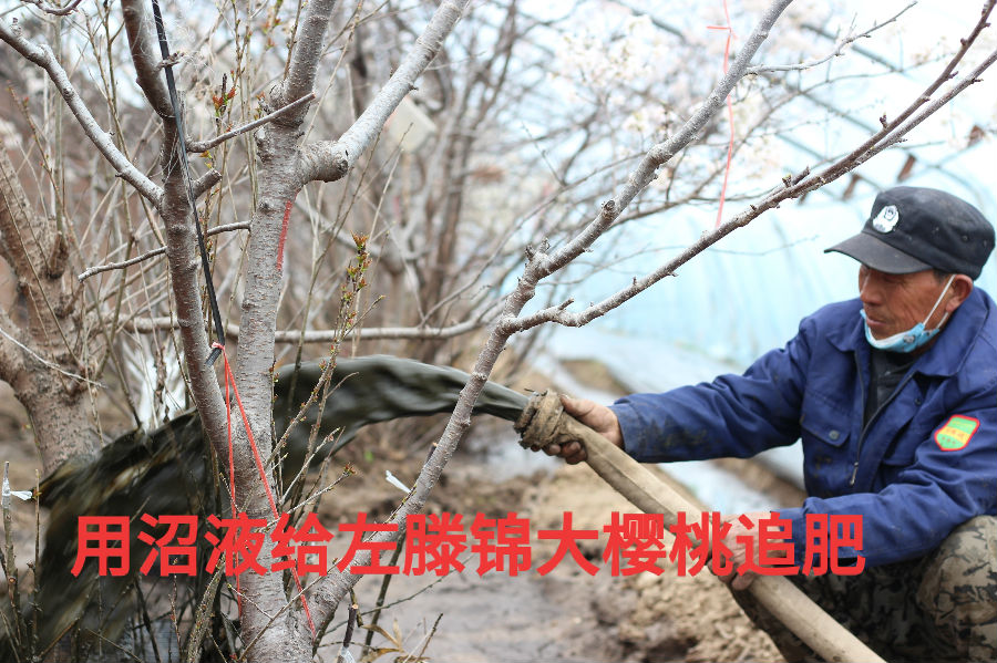 微信图片_20200302185135.jpg